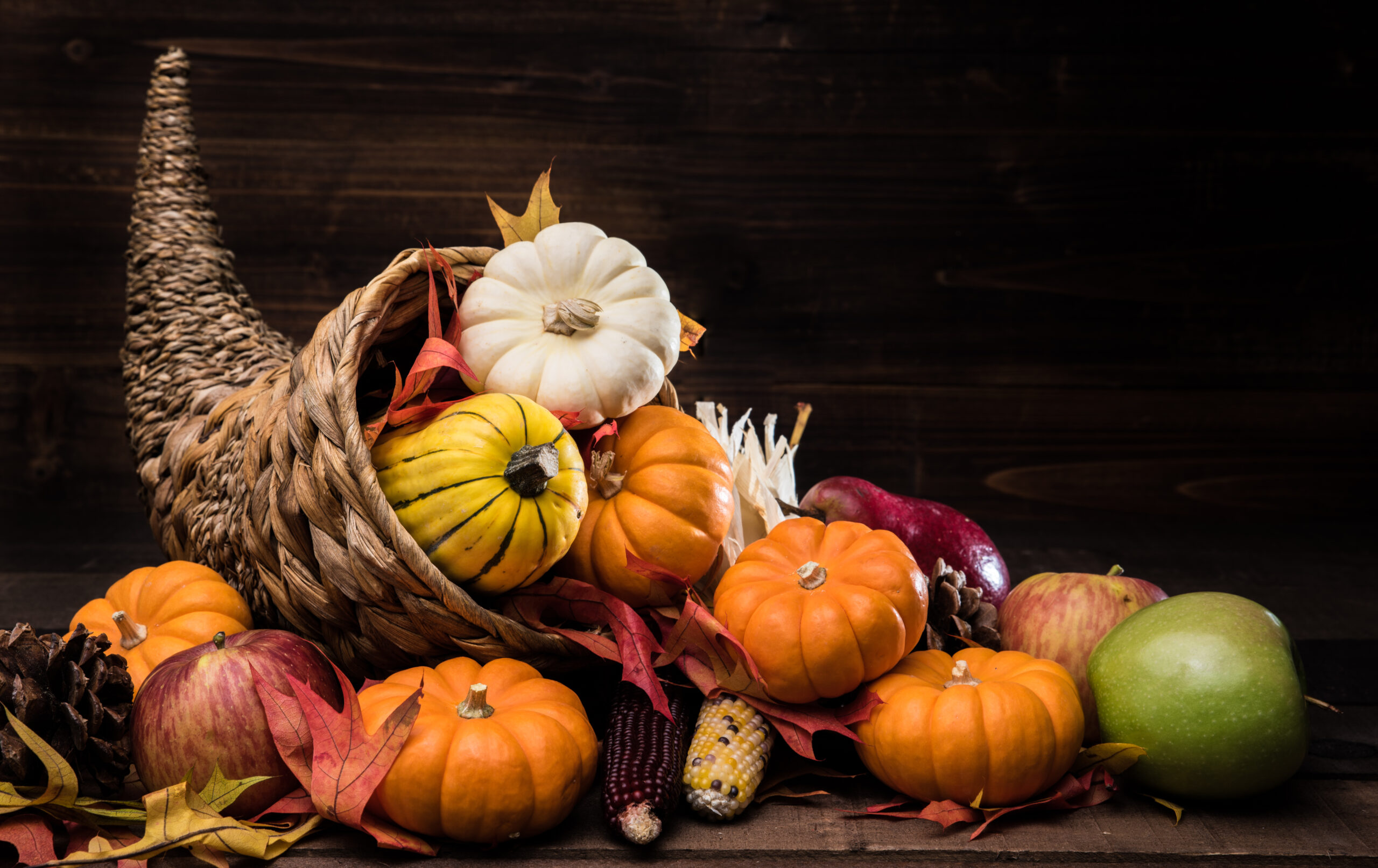 A basket cornucopia is full of mini pumpkins and squash with leaves and corn.