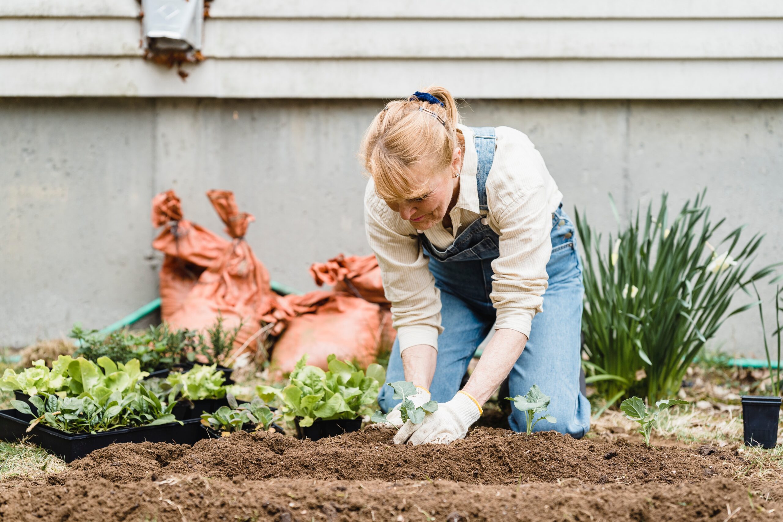 Woman gardening in overalls, working with soil